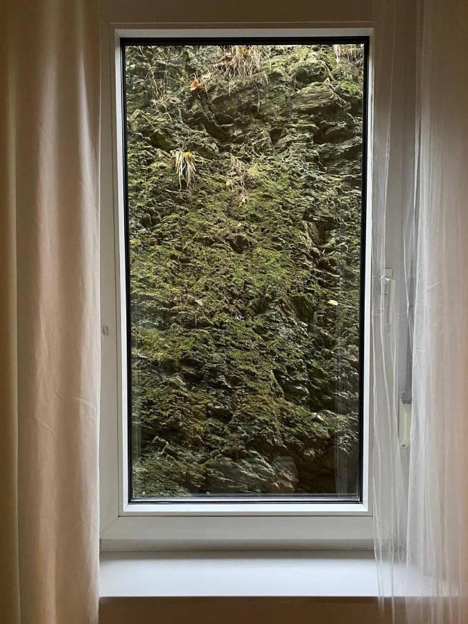 Art - Harz Apartment Zorge